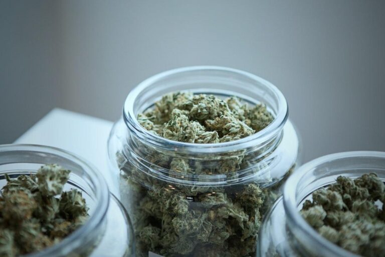 How_Long_is_Weed_Good_for_Shelf_Life_Facts_Image