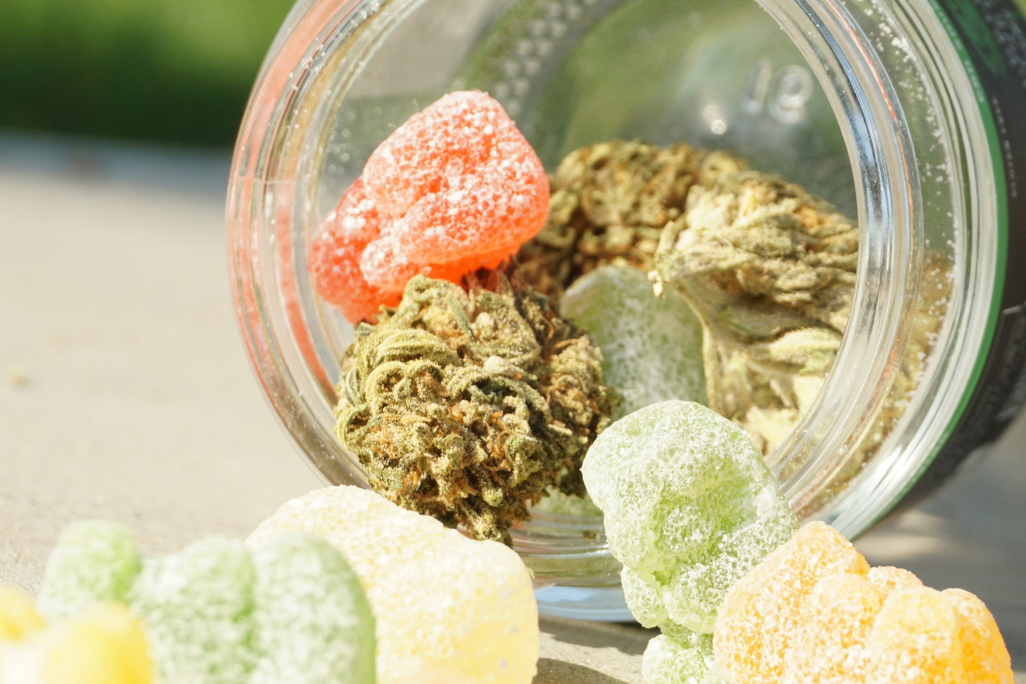 Vapes vs. Edibles: How Your Body Processes Cannabis Differently | DDM  Cannabis